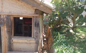 Hostel Pousada Harpia